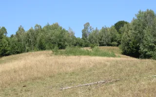 Terenuri Carpinis I parcelabil I Curent pe proprietati - Poză 38