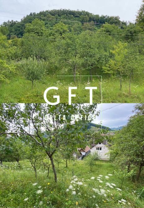 Casa 4 camere-teren/livada 1250 mp-pretabil locuire-Nepos - Poză 3