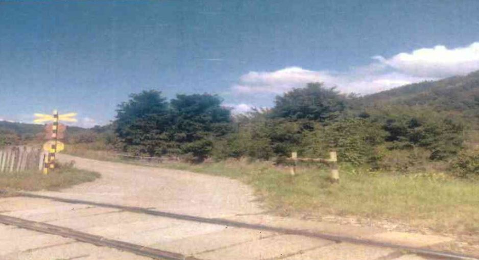 Teren intravilan Vama - Poză 1