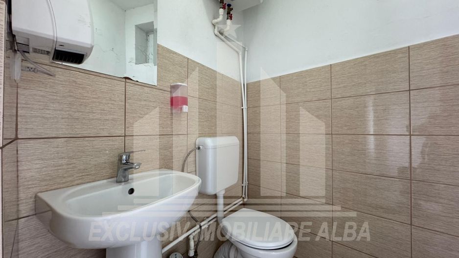 Spatiu comercial | Spatiu birouri | Curte | Terasa | Sebes - Poză 5