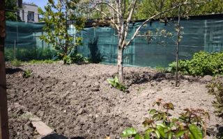 Casa 1 camera | Gradina 120 MP | Renovata | Lazaret - Poză 7