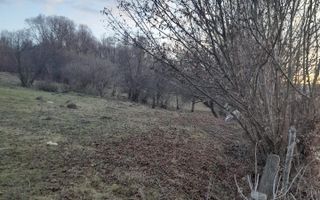 TEREN INTRAVILAN 2400 MP, ALBESTI DE MUSCEL, ARGES - Poză 2