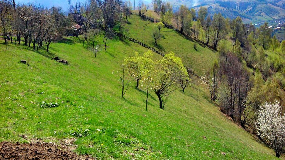 teren intravilan in zona Magura Bran - Poză 6