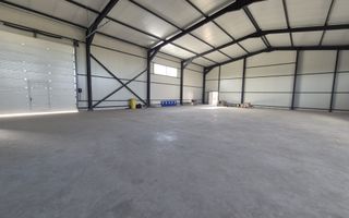 Parc Logistic Nou 2025 – Hale de Vanzare de 600 mp în Chitila-Rudeni - Poză 12