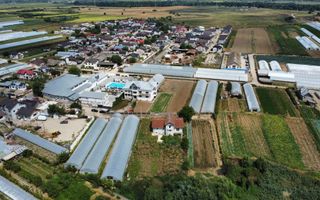 Casă individuală S+P+1E | 248 mp utili | Teren 1.322 mp | Băleni Sârbi - Poză 4
