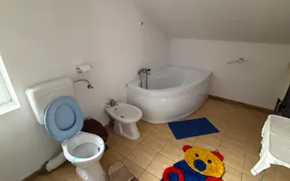 Casa/vila P+E+M, individuala ,730 mp teren-Timișul de jos - Poză 31