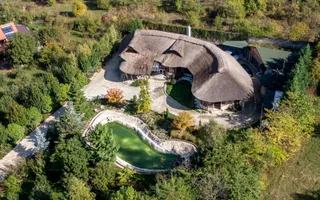 De vanzare casa unica pe teren de 3400mp, cu iaz si gradina - Borhanci - Poză 24