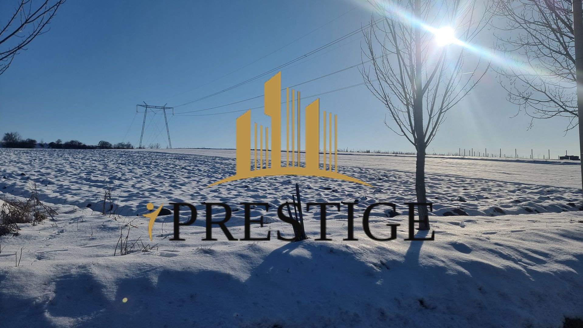 FĂRĂ COMISION | TEREN 6695 MP ÎN ȘURA MARE - Poză 6