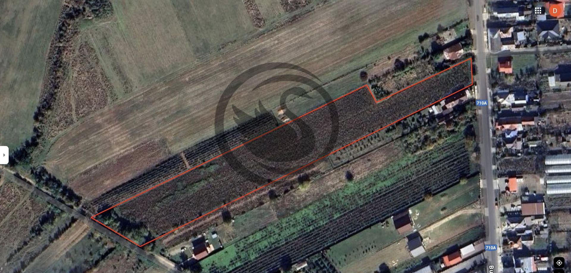 Teren intravilan de vanzare | 12.650 mp | Ghirdoveni, | COMISION 0% - Poză 2