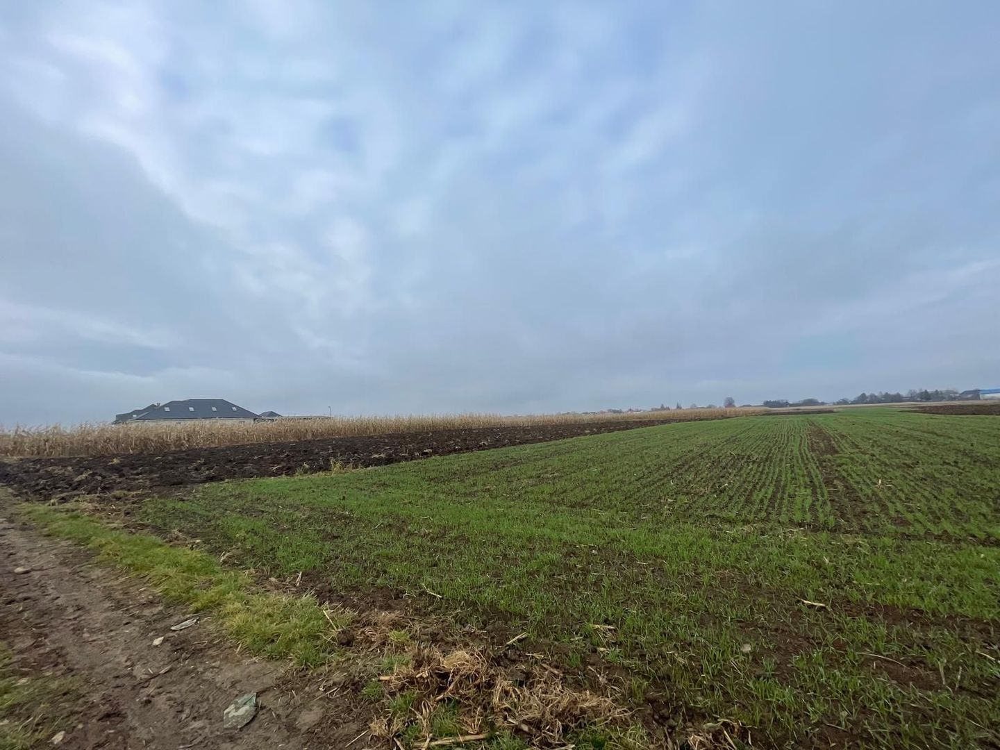 TEREN EXTRAVILAN 13 ARI | FRONT STRADAL 13 M | MARGINEA - Poză 8