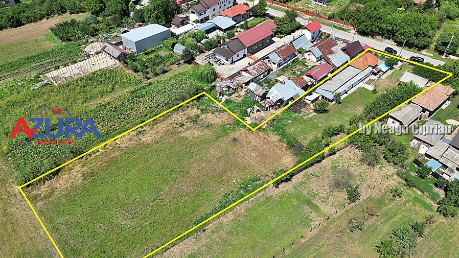 Casa si teren 3500 mp, Stefanesti - Golesti - Poză 11