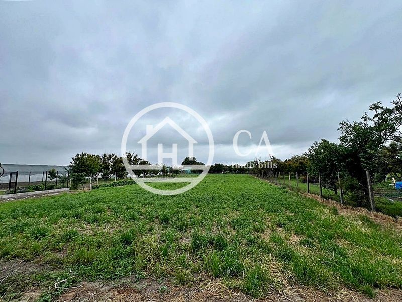 Anexe de vânzare pe o suprafata de teren de 2532 mp în Biharia, Bihor - Poză 12