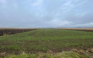 TEREN EXTRAVILAN 13 ARI | FRONT STRADAL 13 M | MARGINEA - Poză 2