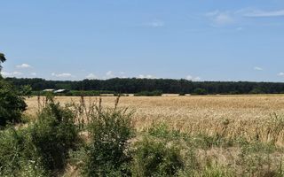 Vanzare Teren Intravilan Buftea, 750mp, str. Ulmului, Pista Biciclete - Poză 6