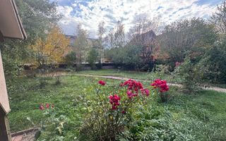 Vila superba LA CHEIE, Trei Stejari, Sibiu - Poză 17