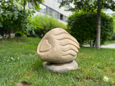 
    Realizări concrete: