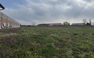 Teren intravilan pentru blocuri la asfalt | Bucovat - Poză 2