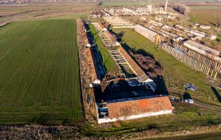 Ferma 11.5 HA lângă DN7 & Autostrada E68 – Nădlac | clădiri+utilități