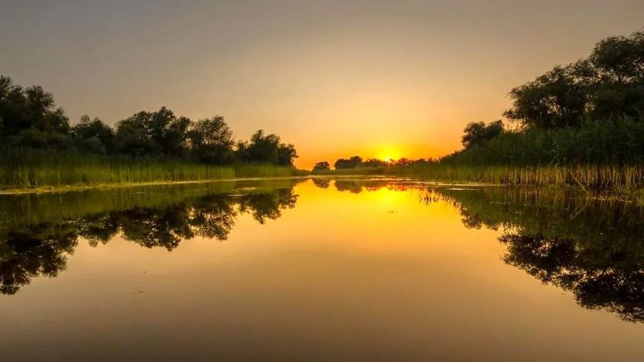 Oportunitate de investitie| Delta Dunarii |Mila 23| pensiune activa - Poză 4