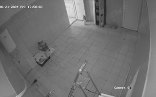 Spatiu de inchiriat zona Aparatorii Patriei - Poză 1