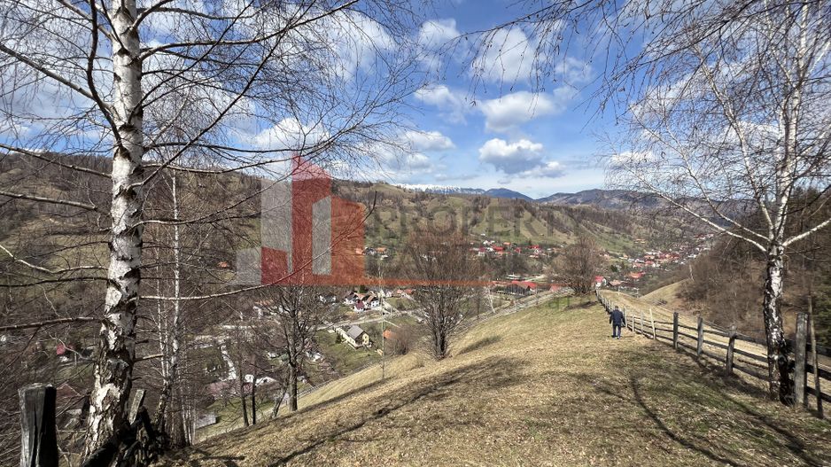 Teren Intravilan 9.194 mp, zona Bran - Simon - Poză 3