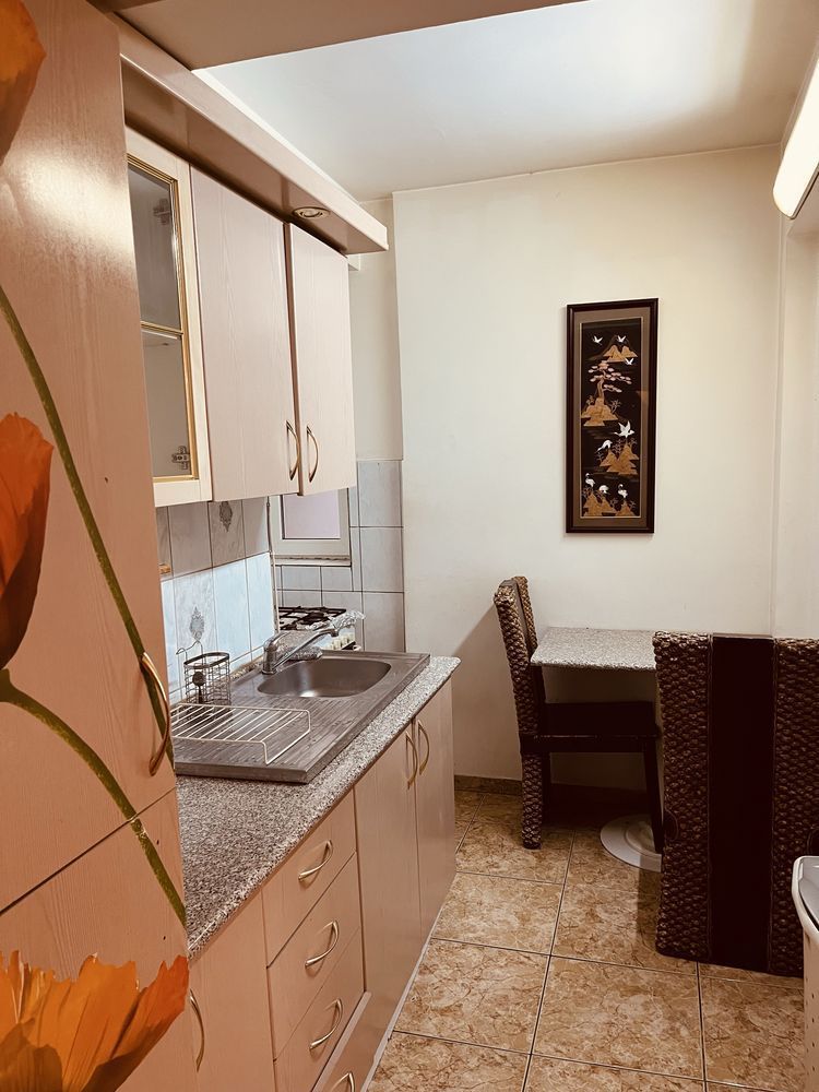 Apartament 2 camere de inchiriat Centrul Vechi -Unirii - Poză 8