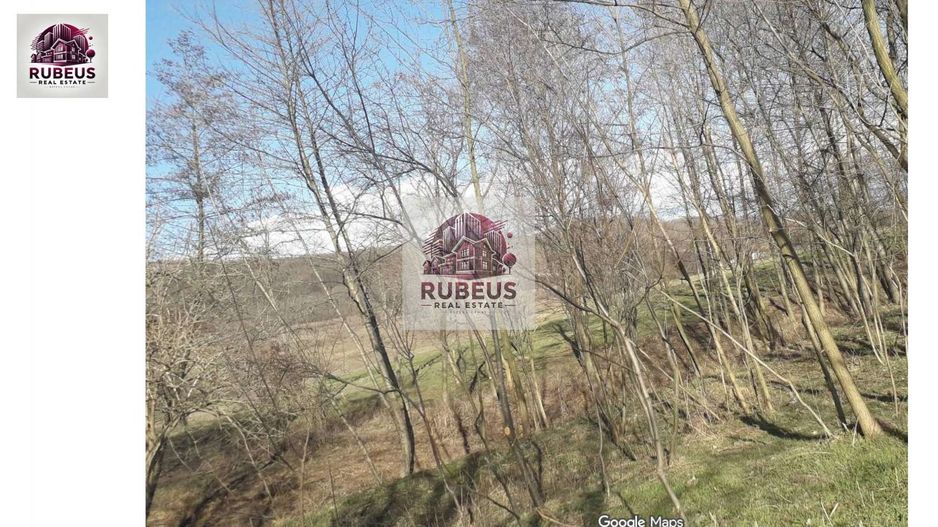 Oportunitate rară! 1 ha pădure Corcova – teren cu potențial real - Poză 2