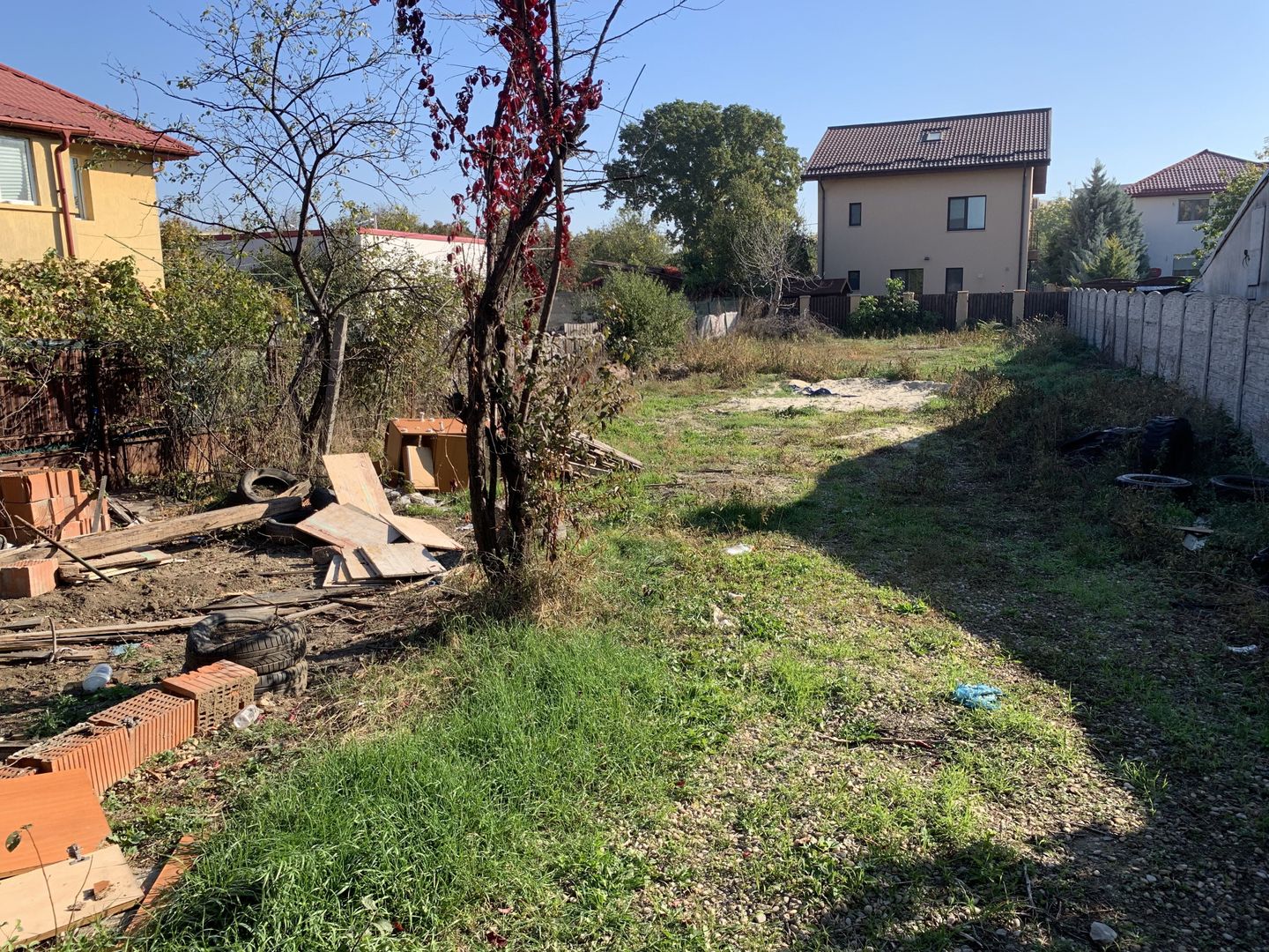 VANZARE TEREN 500MP-SISESTI-PADURE - Poză 5