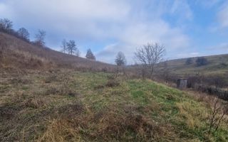 Teren intravilan | Livezile - Poză 3