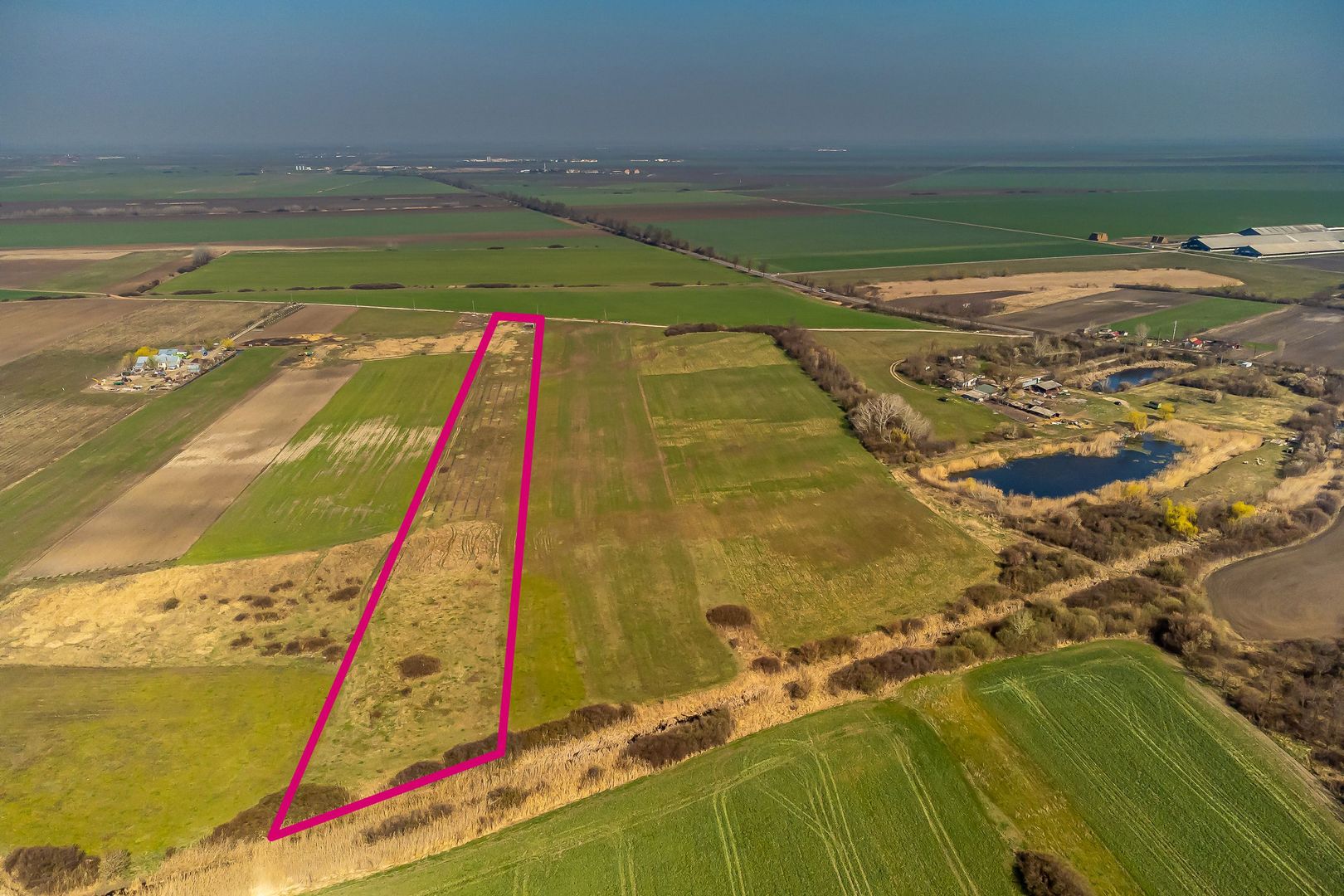 Teren Agricol Extravilan 14300 mp - Poză 4