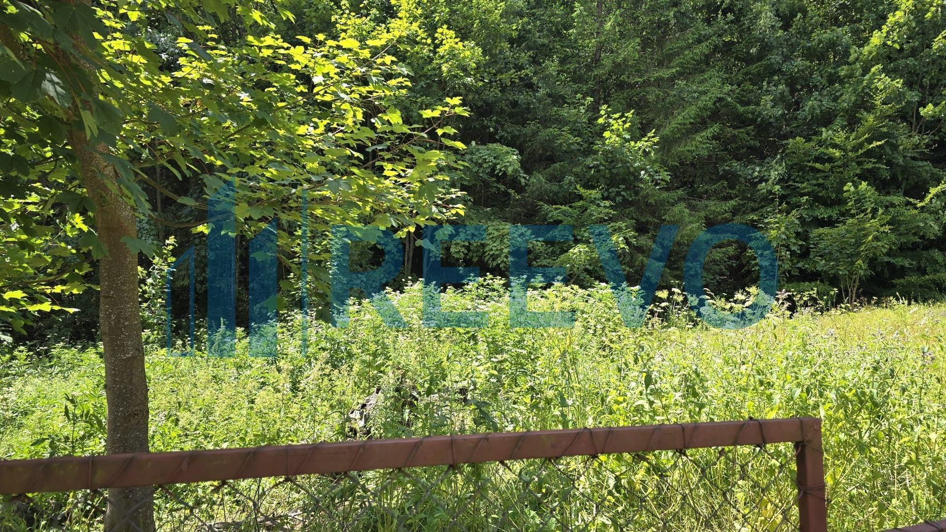 Teren Izvorul Muntelui, Bicaz, la baza traseelor de la Vârful Toaca - Poză 7