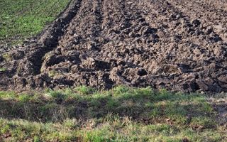 Teren 36 Ari | Mitocu Dragomirnei | 25.500 € - Poză 1