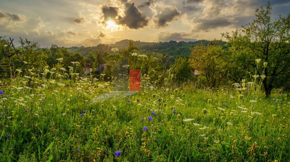 Teren intravilan Boteni Arges - Poză 15