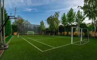 Vila grandioasa, Gradina Japoneza, SPA, Crama, Teren Tenis, Foisor, Iaz Pesti - Poză 12