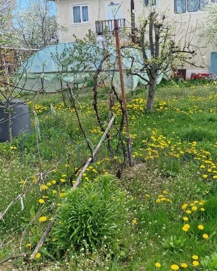 Vanzare casa P+1, anexe, curte, sat Verseni, comuna Miroslovesti, la asfalt - Poză 6