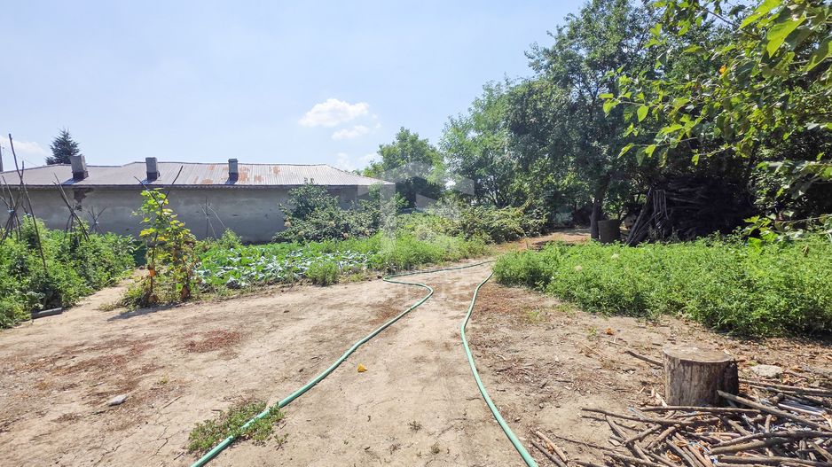 Teren intravilan generos – Țegheș, Str. Transilvaniei - Poză 5
