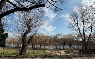 Apartament cu 4 camere in zona Floreasca - Aviatiei la intrare in parc - Poză 16