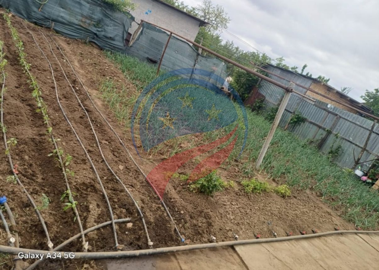 Casa cu teren generos/de vanzare/com Leu, Dolj - Poză 22