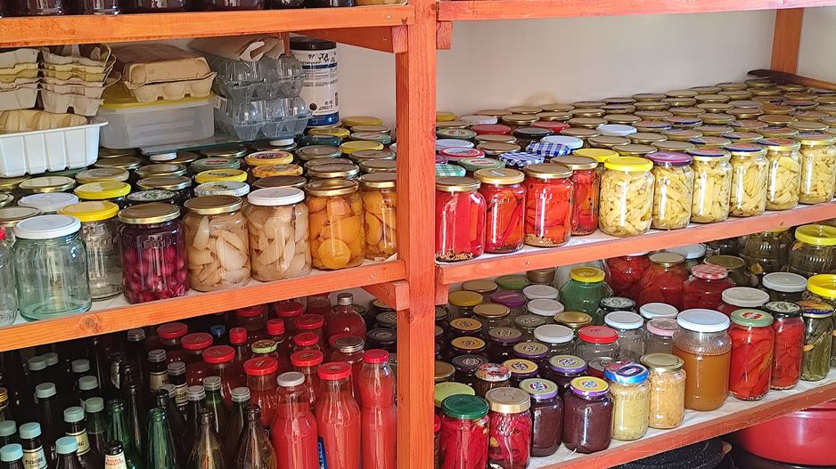 Casa la tara in Sacadat, Bihor, teren 2826 mp, acces auto - Vanzare - Poză 11