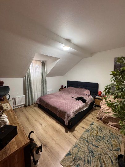 APARTAMENT PREMIUM | FLOREASCA COMPOZITORI - Poză 1