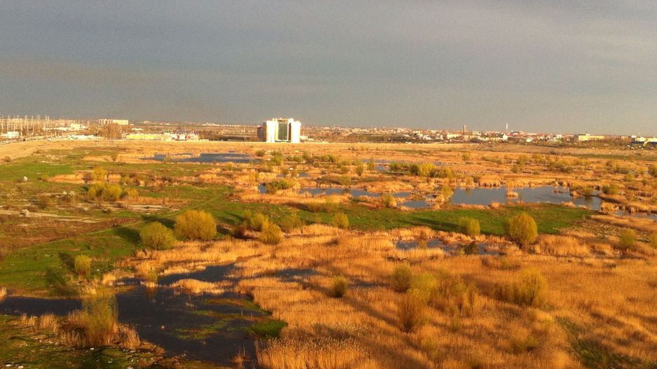 Apartament Asmita Gardens/Delta Văcărești - Poză 1