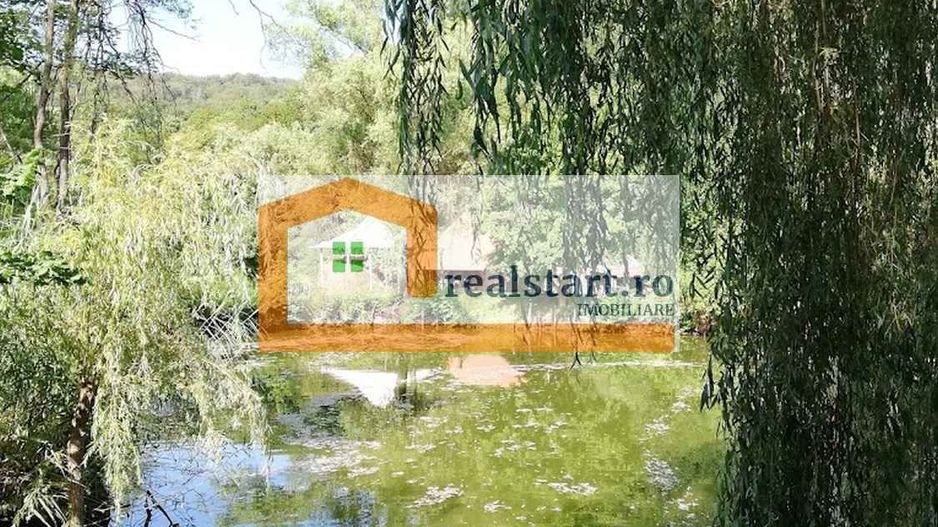 Langa Sighisoara, Inconjurata de Padure, Investitie, ROI min9% - Poză 24