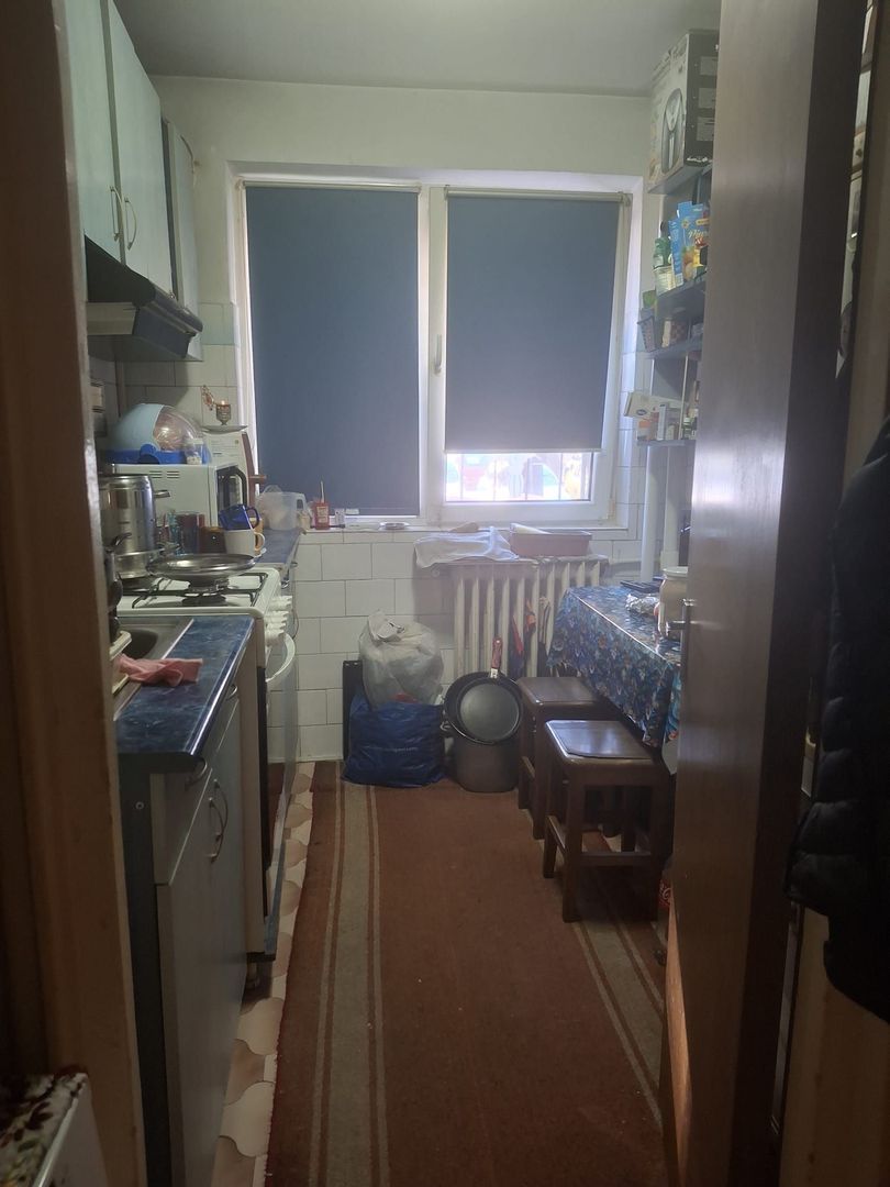 Vanzare apartament 2 camere Titan -Camil Ressu, Park Lake - Poză 8