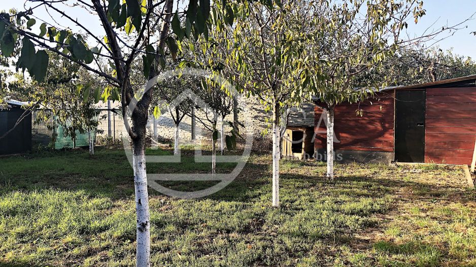 Casa cu 4 camere de inchiriat in zona Episcopia, Oradea - Poză 17