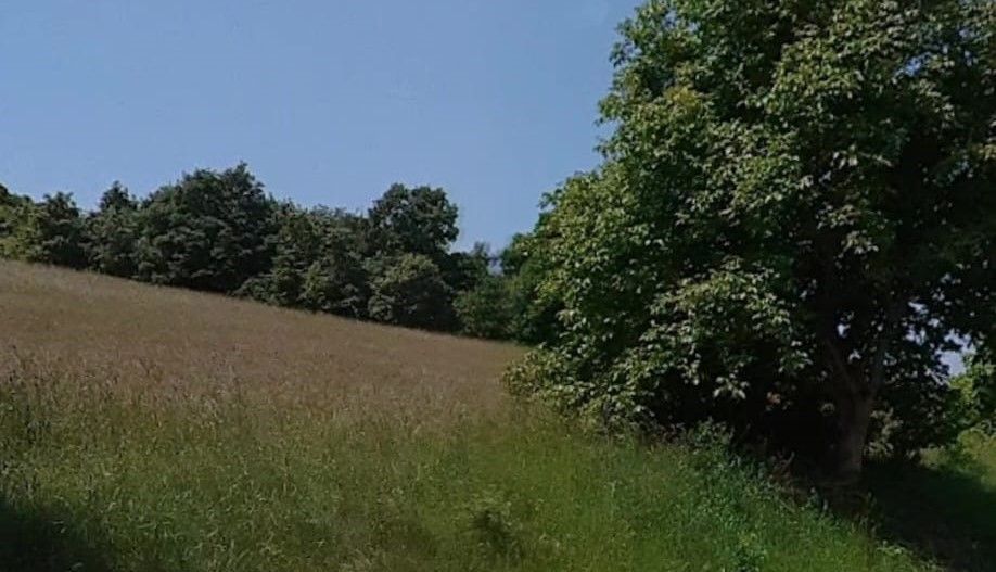 Teren intravilan -Sânișor- 8700 mp - Poză 2