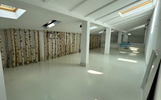 Închiriere vilă interbelică, Piata Victoriei,  renovată complet - Poză 11