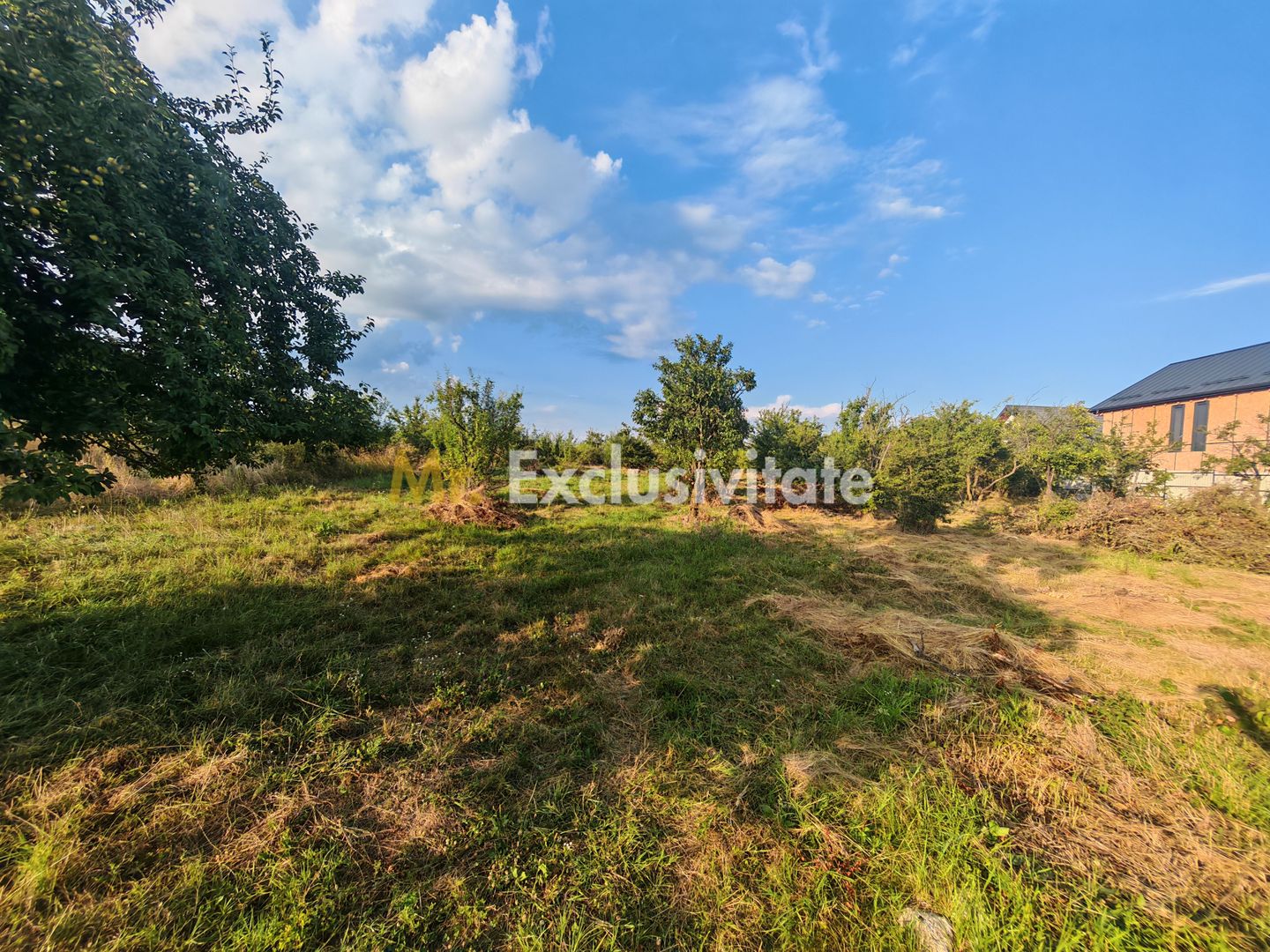 Teren intravilan 1.600 mp Mioveni – Zona Pruni - Poză 6