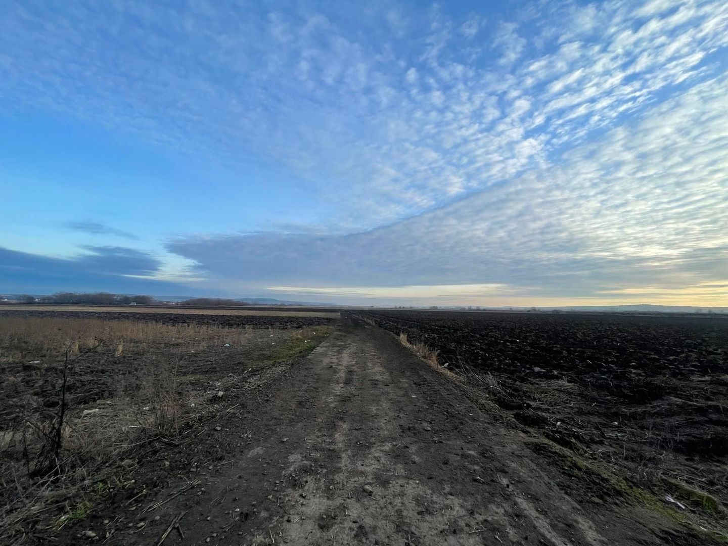 TEREN EXTRAVILAN | 82 ARI | PERIFERIA ORASULUI - Poză 4