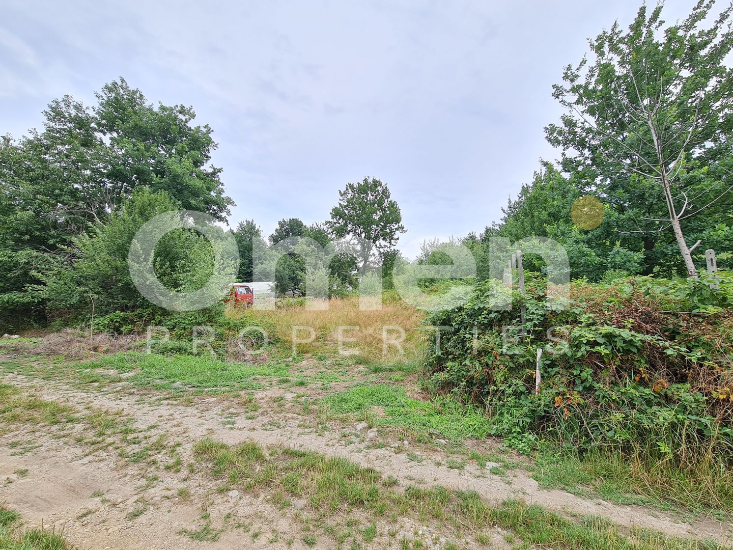 Teren intravilan de vânzare | 1.656 mp | 69.000 € | strada Murelor | Groși - Poză 2