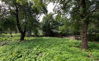 Casă renovată, teren 394 mp – Râșnov, str. Misu Popp, zonă centrală - Poză 21